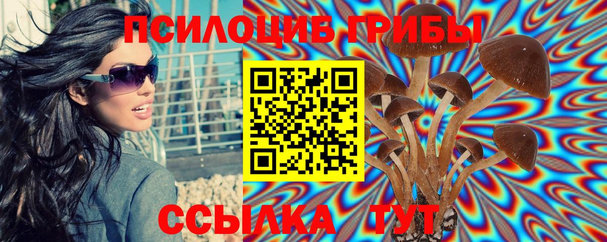 Псилоцибиновые грибы мухоморы Октябрьский